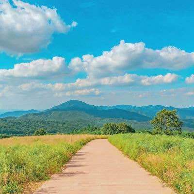 半岛.综合体育入口