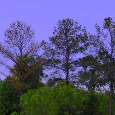 金沙乐娱场app下载手机app下载